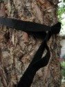 TreeHugger hammock straps review